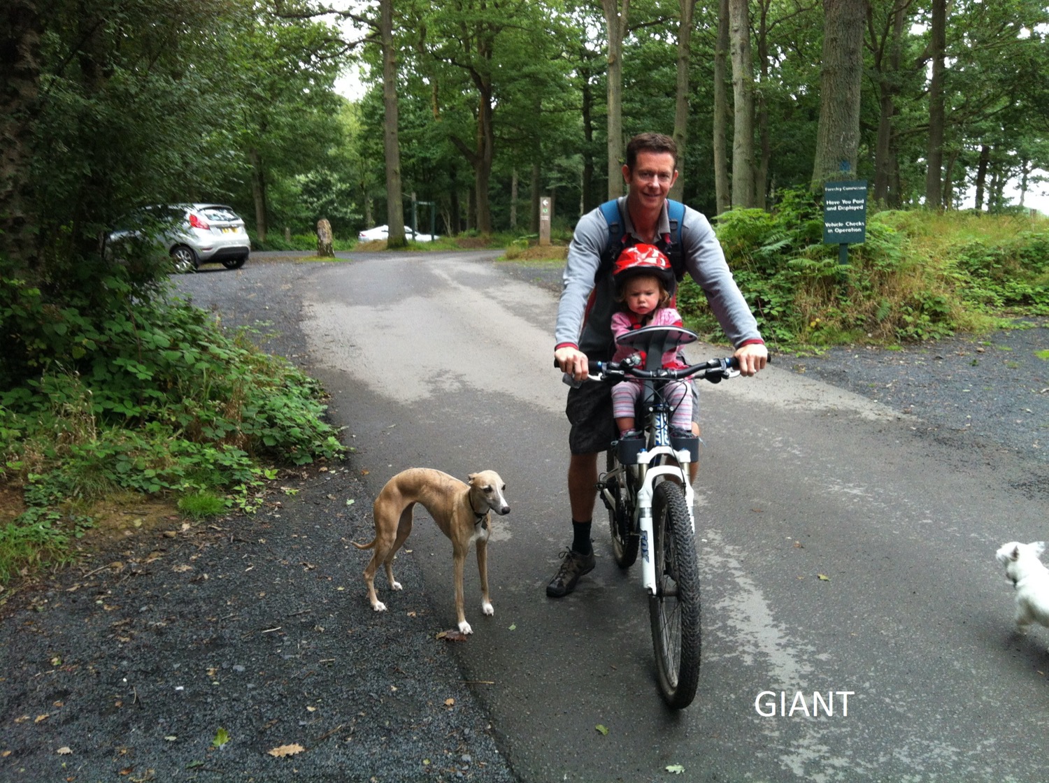 Father cycling through woodland trail with toddler in centre-mounted bike seat and two dogs alongside